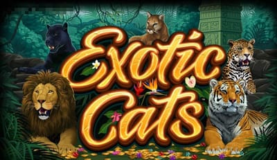 Exotic Cats
